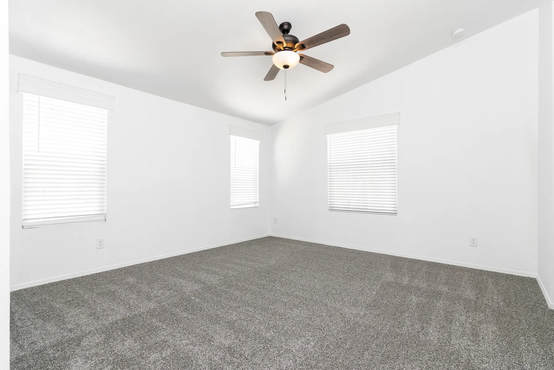 Primary bedroom with three windows
